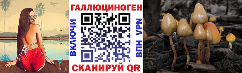Псилоцибиновые грибы мицелий  Йошкар-Ола 